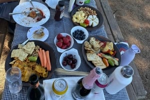 Privat chilensk grillkursus i Andesbjergene med frokost