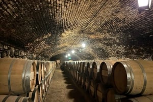 Il meglio del tour del vino della Valle di Maipo