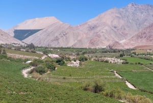 The Magnificient Elqui Valley Grand Tour