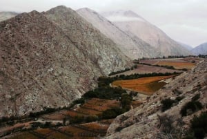 The Magnificient Elqui Valley Grand Tour