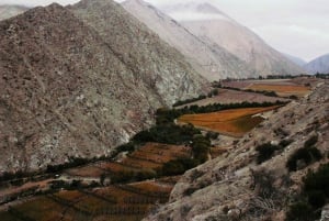 Den magnifika Elqui-dalen Grand Tour