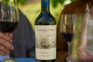 Erlebe The New Wines Concha y Toro