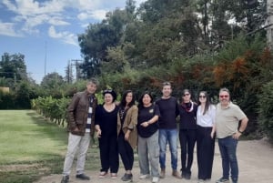 Thompson Wineries Experiencia La Vendimia: Degustación y cóctel