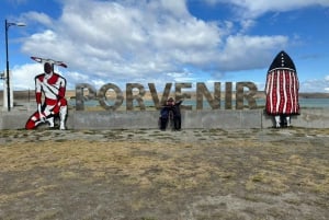 From Punta Arenas: Meet the King Penguin