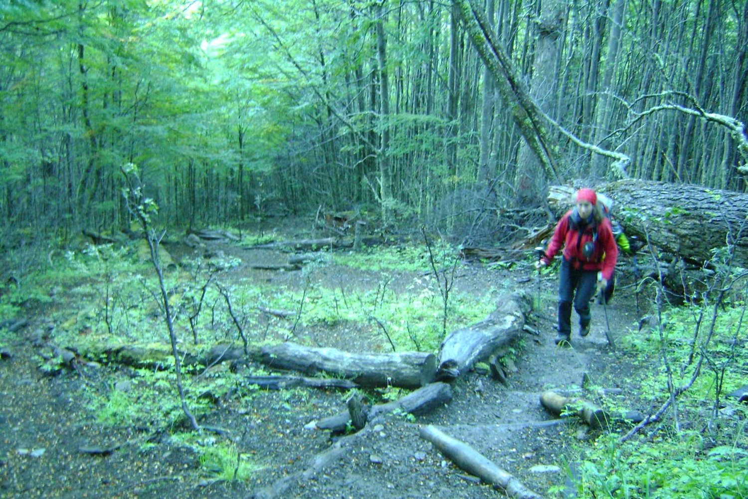 Tierra del Fuego: Glaciär- och topptursvandring
