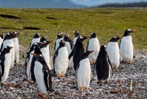 Park Narodowy Ziemi Ognistej