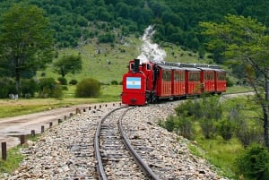 Visita al Parque y Tren de Tierra del Fuego para Cruceristas (sin ticket de entrada)