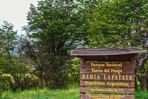 Visita al Parque y Tren de Tierra del Fuego para Cruceristas (sin ticket de entrada)