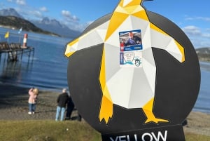 Visita al Parque y Tren de Tierra del Fuego para Cruceristas (sin ticket de entrada)