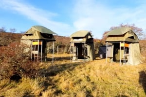 Torres del Paine: 3-tägige W-Rundwanderung