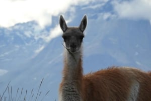 Torres del Paine: 3-tägige W-Rundwanderung