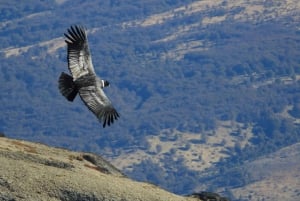 Torres del Paine: 3-tägige W-Rundwanderung