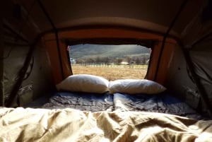 Torres del Paine: 3-tägige W-Rundwanderung