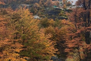 Torres del Paine: Aventura Express (2 días)