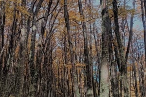 Torres del Paine: Aventura Express (2 días)