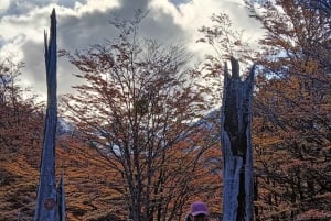 Torres del Paine: Aventura Express (2 días)