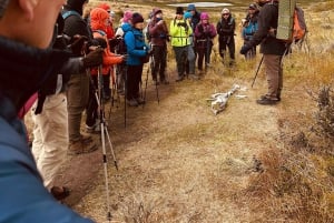 Torres del Paine: Aventura Express (2 días)