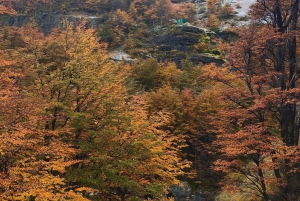 Torres del Paine: Aventura Express (2 días)