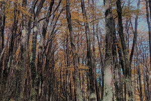 Torres del Paine: Aventura Express (2 días)