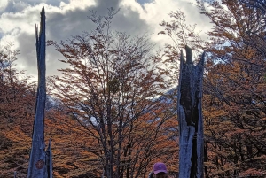 Torres del Paine: Aventura Express (2 días)
