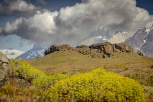 Torres del Paine: Aventura Express (2 días)