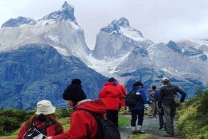 Torres del Paine Tagestour ab El Calafate