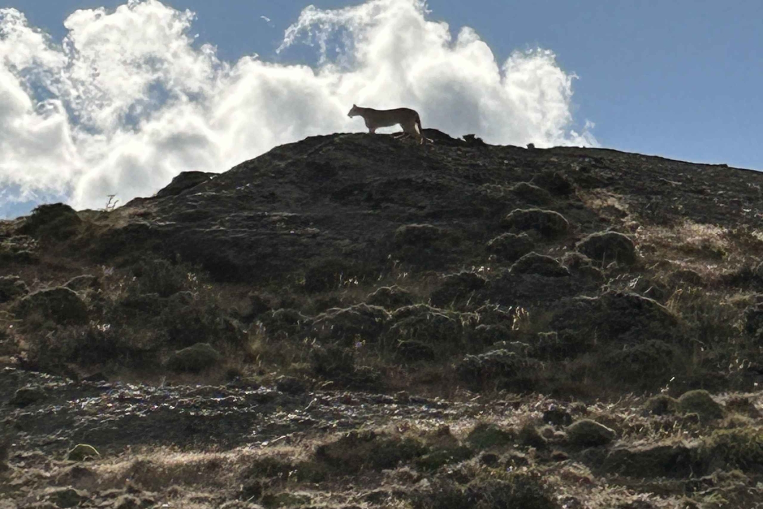 Torres del Paine: Valle Francés y Lago Grey + Camping