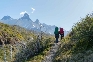Torres del Paine: Valle Francés y Lago Grey + Camping