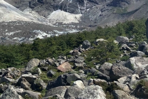 Torres del Paine: Valle Francés y Lago Grey + Camping