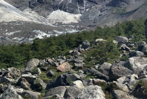 Torres del Paine: Franse Vallei-wandeling, hele dag