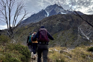 Torres del Paine: Franse Vallei-wandeling, hele dag