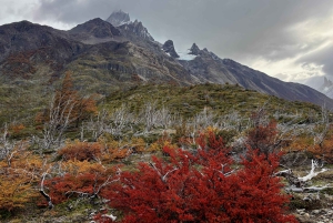 Torres del Paine: Franse Vallei-wandeling, hele dag