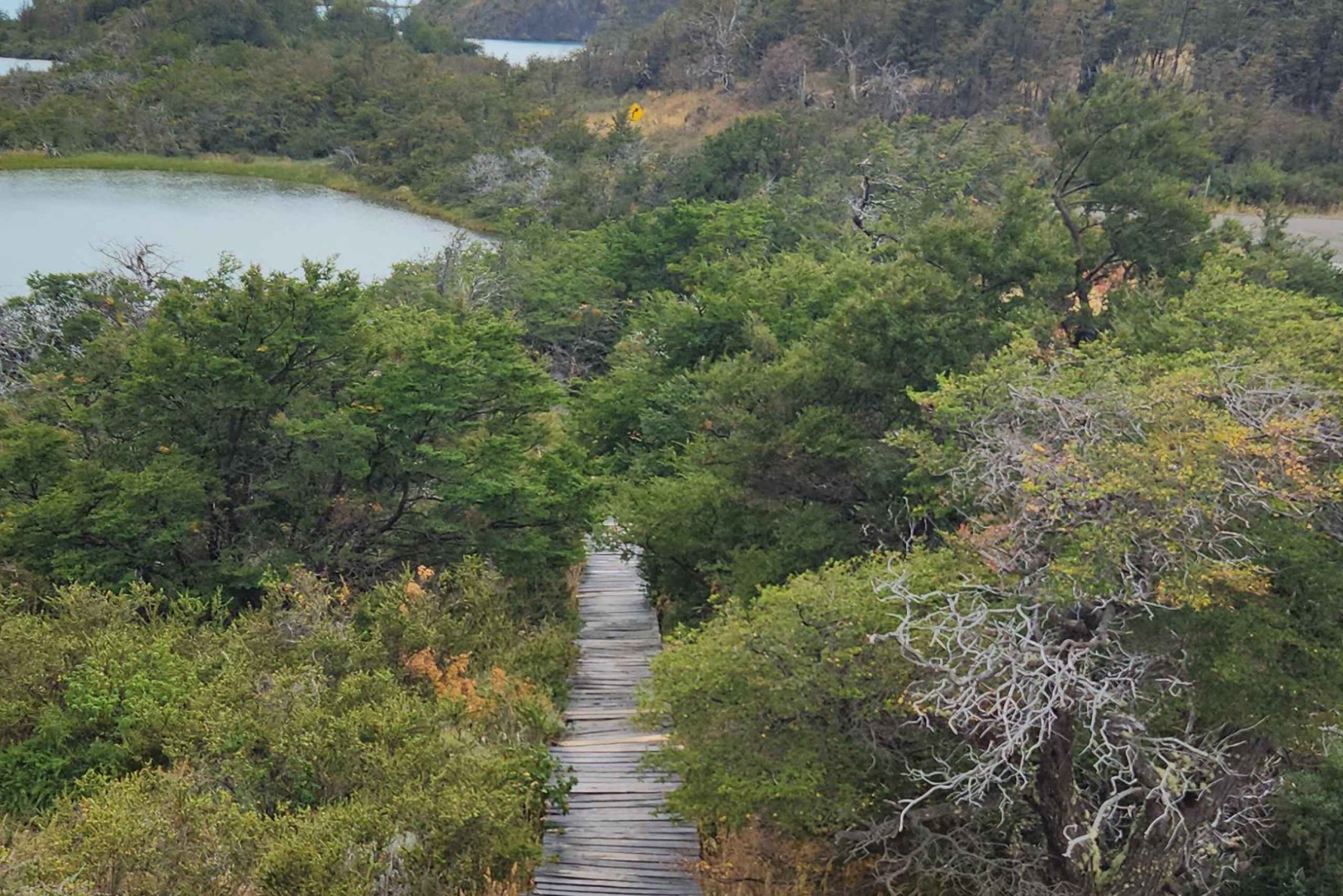 Torres del Paine: Full Day Active 3 Different Trails