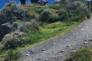 Torres del Paine: Full Day activo 3 senderos distintos