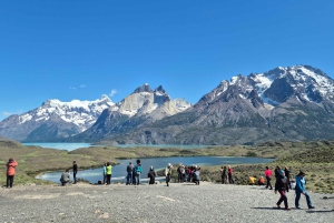 Torres del Paine: Ganztägiger Ausflug Torres del Paine + Milodon-Höhle.