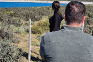 Torres del Paine: Ganztägiger Ausflug Torres del Paine + Milodon-Höhle.