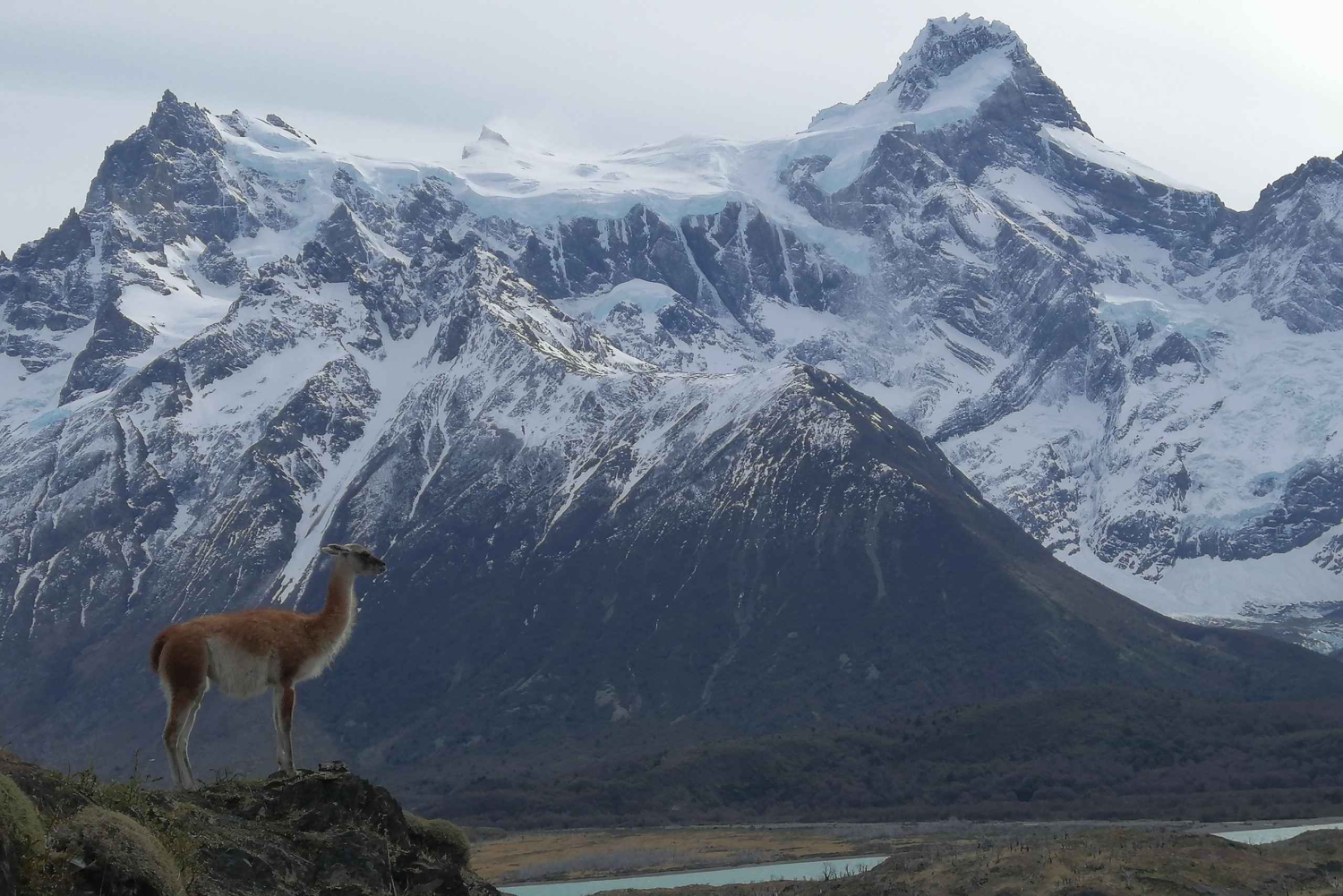 Torres del Paine : visite d'une jounée panoramique