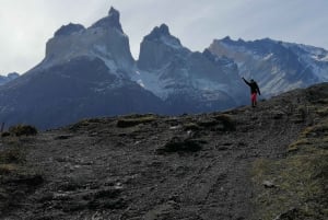 Torres del Paine: Heldagstur med panoramautsikt