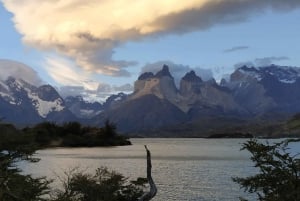 Torres del Paine: Heldagstur med panoramautsikt