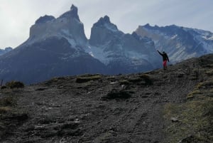 Torres del Paine : visite d'une jounée panoramique