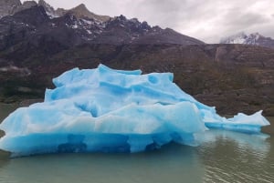 Torres Del Paine: Navegación Glaciar Grey + Full Day Torres del Paine