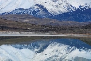 Torres Del Paine: Navegación Glaciar Grey + Full Day Torres del Paine
