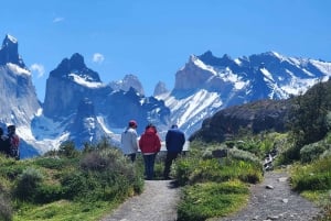 Torres Del Paine: Navegación Glaciar Grey + Full Day Torres del Paine