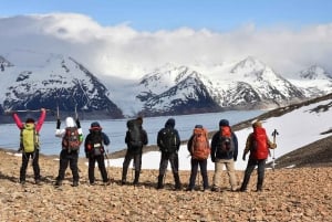 Torres del Paine: O Circuit in Camping (7 dagen)