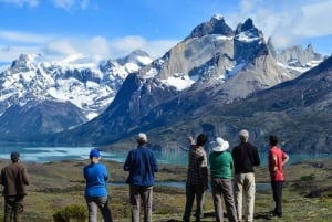 Visite d'une jounée du parc Torres del Paine au départ de Puerto Natales