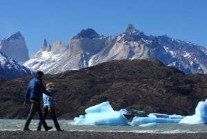 Visite d'une jounée du parc Torres del Paine au départ de Puerto Natales