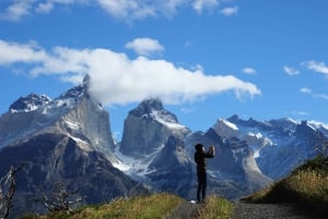 Visite d'une jounée du parc Torres del Paine au départ de Puerto Natales