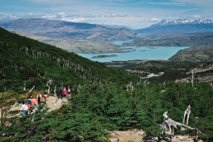Torres del Paine: W Circuit in Camping (5 days)