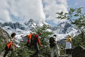 Torres del Paine: Circuito W en Camping (5 días)