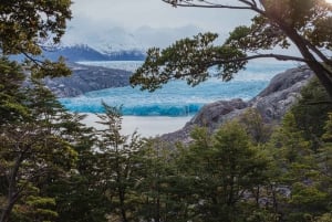 Torres del Paine: W Circuit på camping (5 dagar)